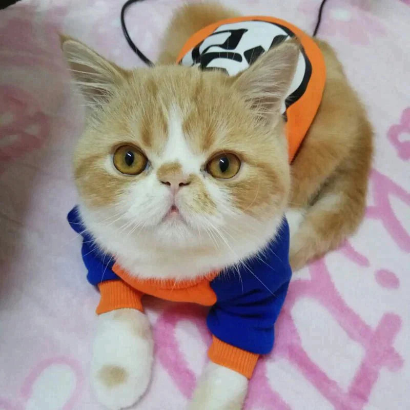 Moletom Pet Goku™ | Roupa Para Gato
